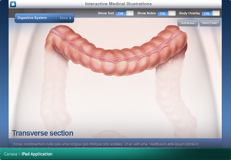 Canasa iPad Application