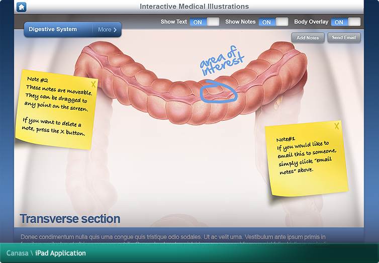 Canasa iPad Application