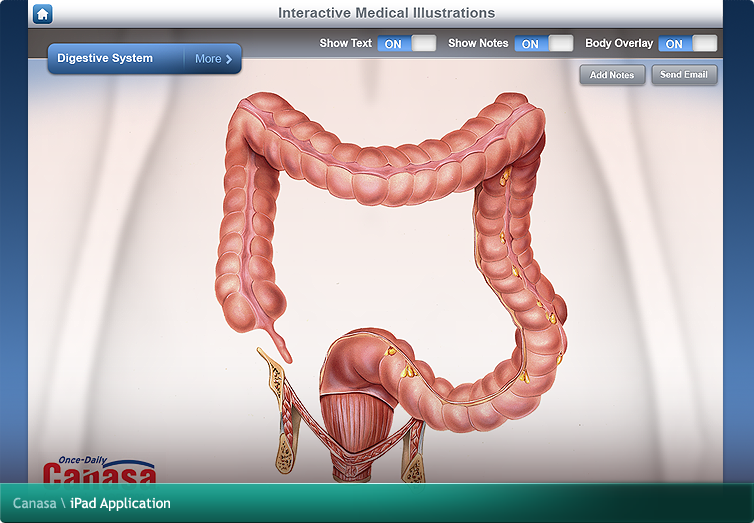 Canasa iPad Application