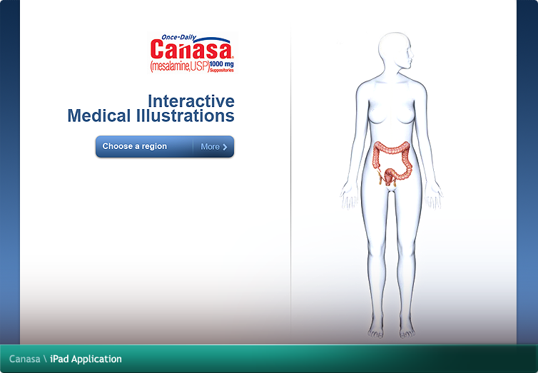 Canasa iPad Application