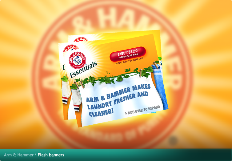 Arm & Hammer Flash banners