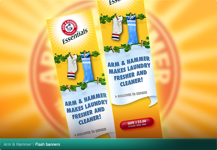 Arm & Hammer Flash banners